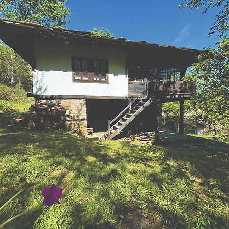 Guest House Cana Mihova Bozhentsi Ngoại thất bức ảnh